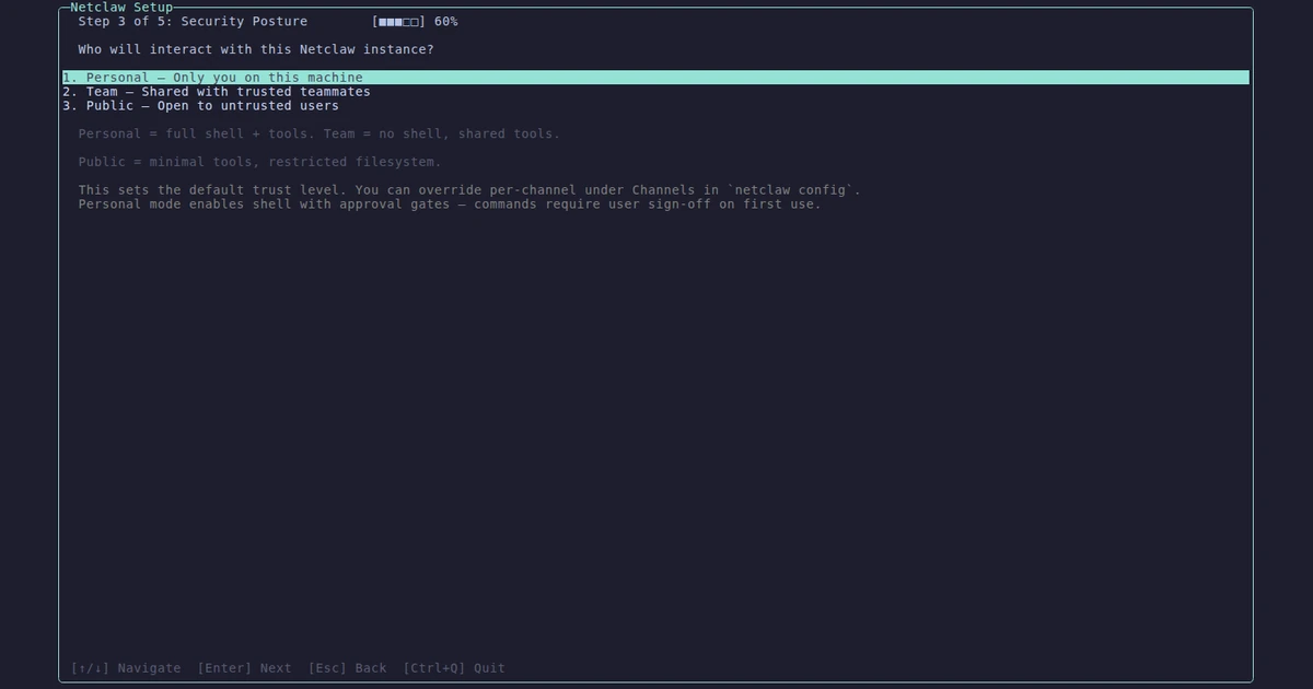 Assistente de configuração do Netclaw com opções de acesso Personal, Team e Public em interface de terminal